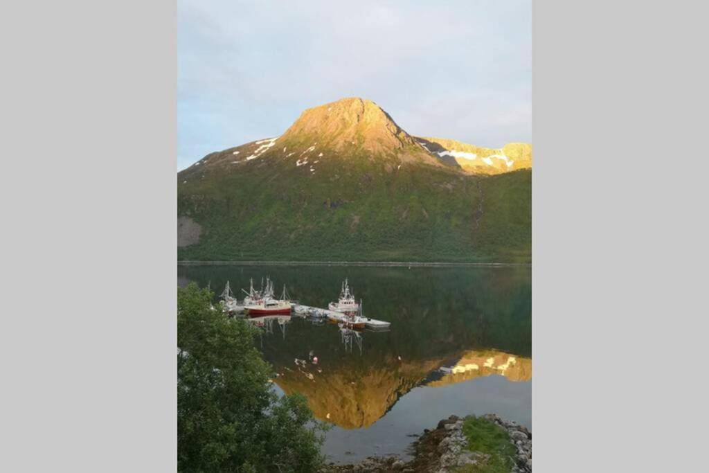 Апартаменты Waterfront Senja 3 Torsken Экстерьер фото