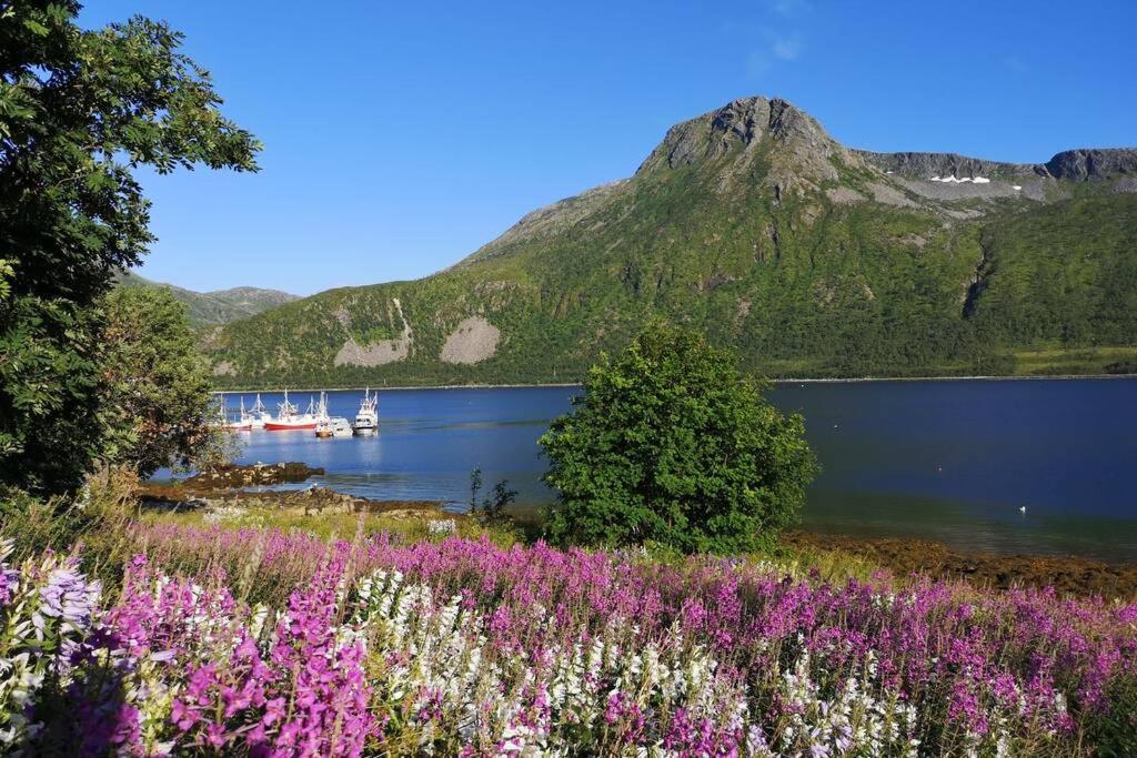 Апартаменты Waterfront Senja 3 Torsken Экстерьер фото