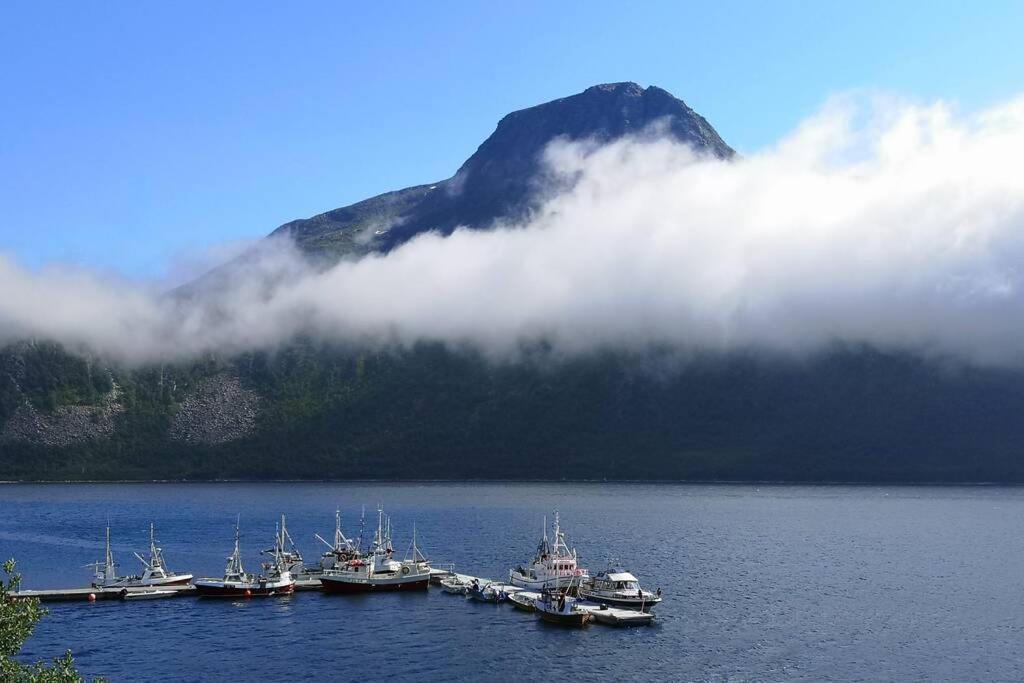 Апартаменты Waterfront Senja 3 Torsken Экстерьер фото